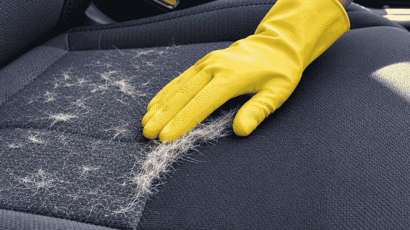 A rubber-gloved hand dragging across a car fabric seat to clump embedded pet fur before vacuuming, showing the more effective pre-treatment method for pet hair removal